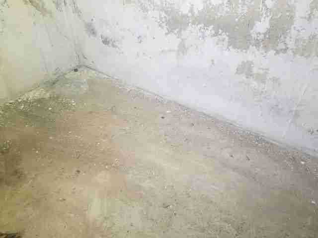 Testing again(32).jpg